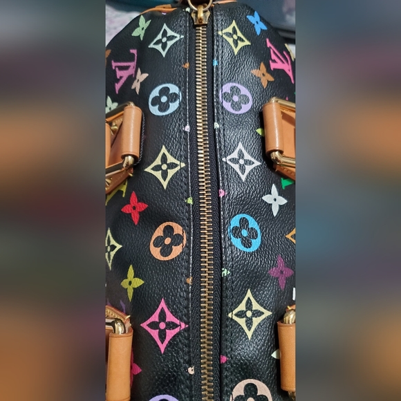 Louis Vuitton Multicolor Speedy - Picture 11 of 16